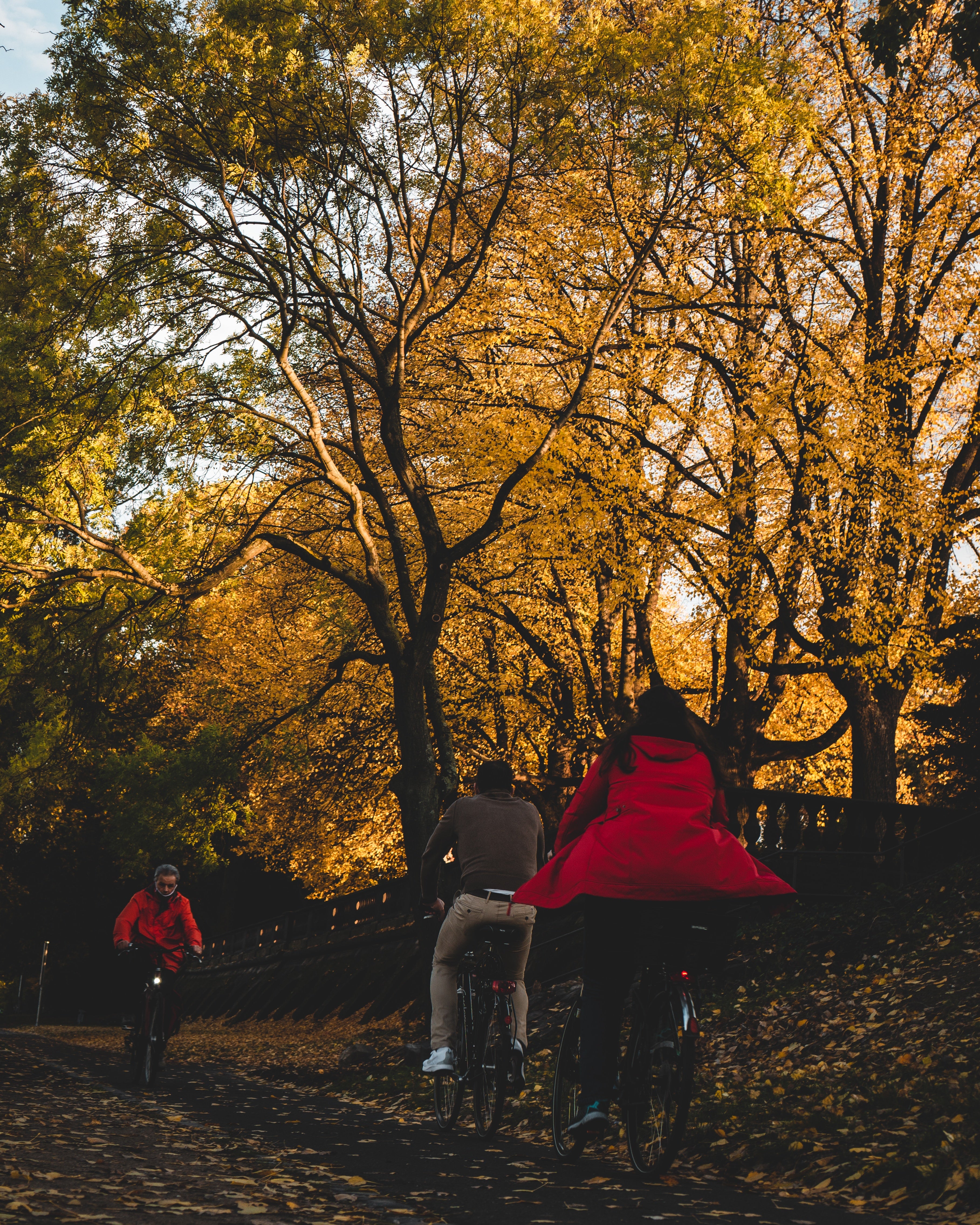 Fahrrad fahren im Herbst: Warum sich das Radeln auch in dieser Jahreszeit lohnt