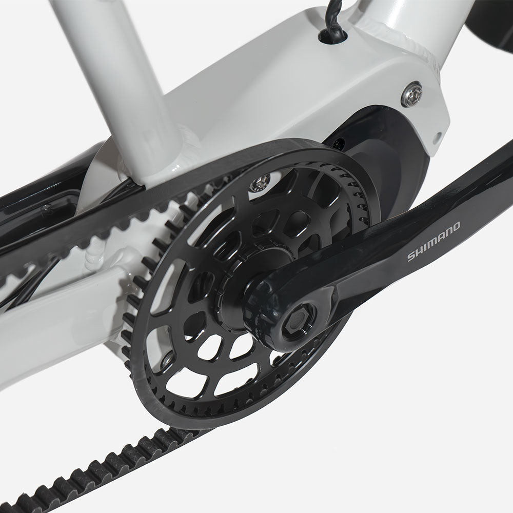 Simply.Lift Steps mit Shimano Mittelmotor und Carbon Riemenantrieb.