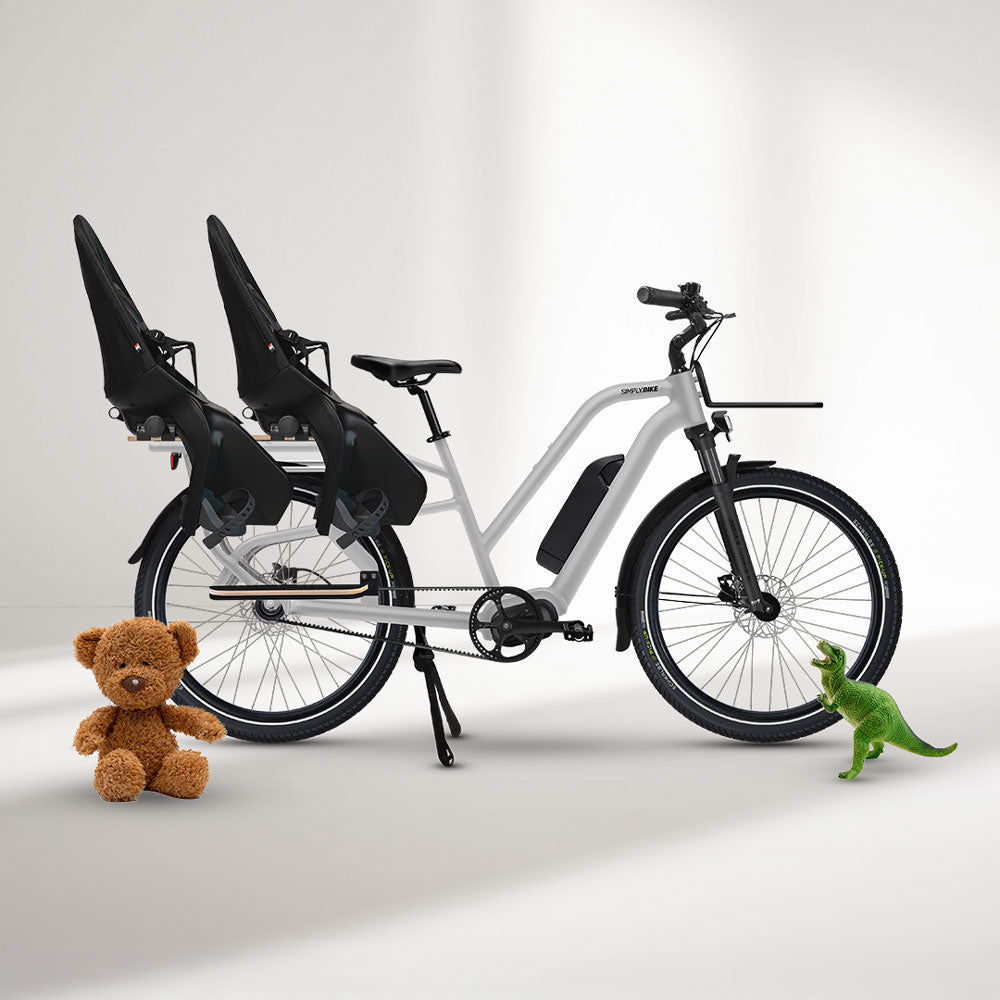 Cargo E-Bike mit Shimano STEPS E5000 Mittelmotor und Kindersitzen.