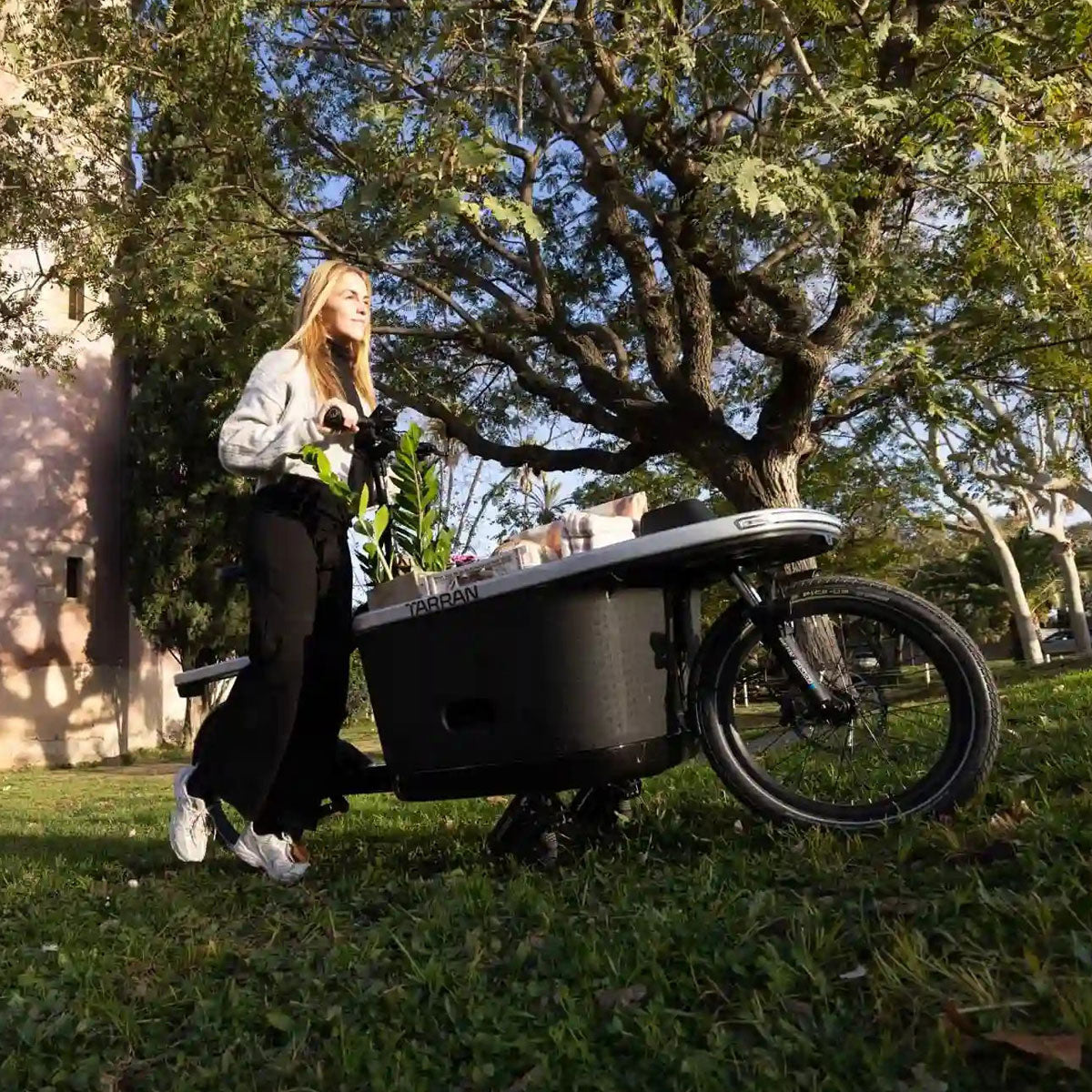 Tarran T1 Pro E-Lastenrad mit Schiebehilfe